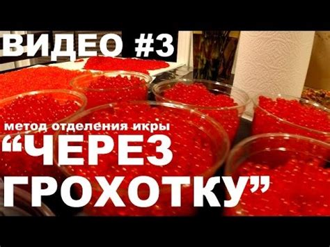 ИКРА ЛОСОСЕВАЯ, МАЛОСОЛЬНАЯ, МЕТОД через ГРОХОТКУ - YouTube