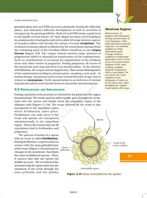 Human Reproduction NCERT Book Of Class 12 Biology