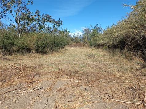 Venta Lote De Terreno En Agencia Municipal San Martin Mexicapan Oaxaca