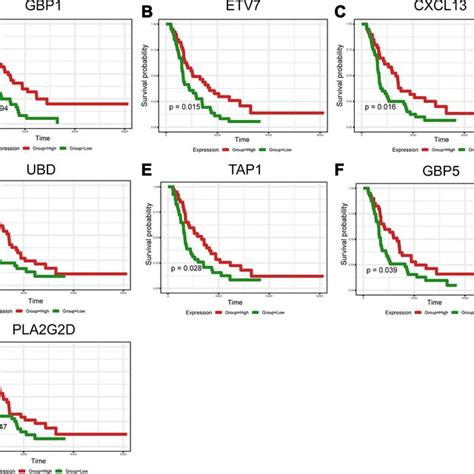 Validation Of Prognostic Degs Extracted From The Tcga Database In The