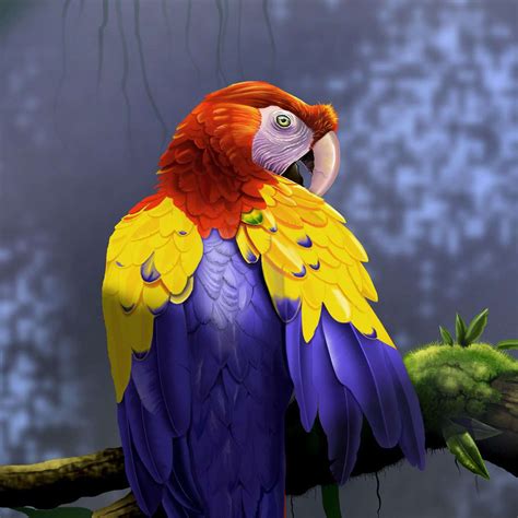 Jungle Birds | Inframe Gallery