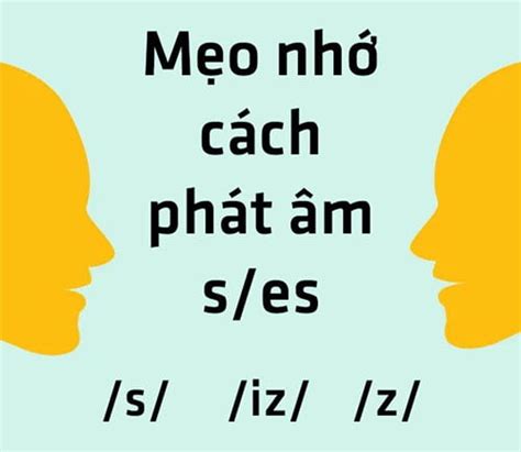 Cách Phát âm Ed S Chuẩn Xác Hoàn Thành Tiếng Anh Của Bạn Trong Tích Tắc