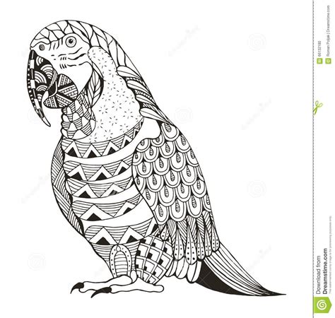 Ara Parrot Zentangle Stylized Stock Vector Image 66132180