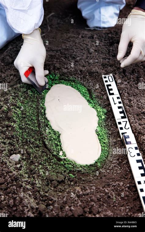 Scienziato Forense Immagini E Fotografie Stock Ad Alta Risoluzione Alamy