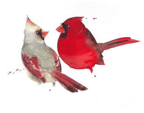 Cardinal birds watercolor art Painting by Yulia Shevchenko - Fine Art ...