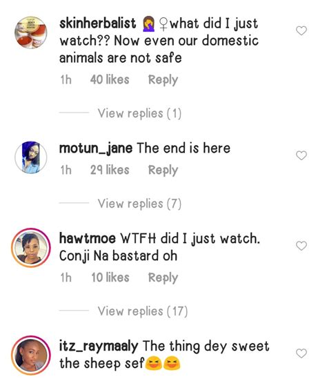 Man Seen Having Sex With A Sheep In The Bush Photos Crime Nigeria