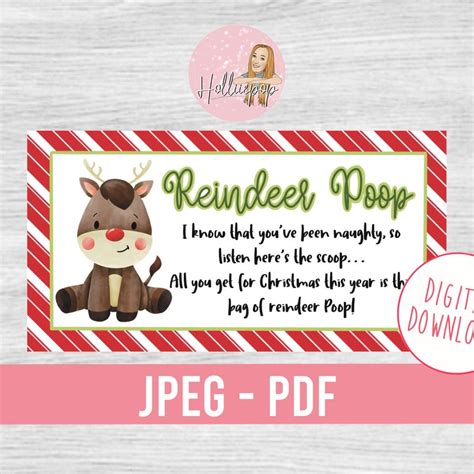 Reindeer Poop Etsy