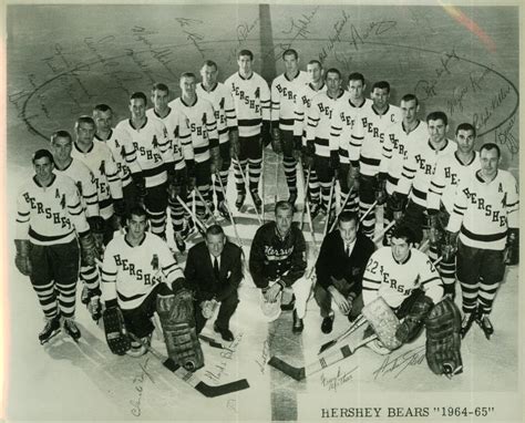 Hershey Bears 1964 American Hockey League | HockeyGods