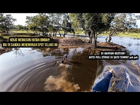 Menemukan Spot Luas Di Tengah Hutan Pedalamandi Satu Tempat Umpan Ku