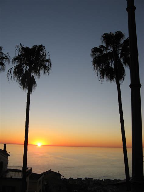 Free Images Beach Sea Coast Tree Ocean Horizon Silhouette