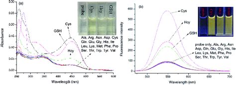 UV Vis absorption a and fluorescence b spectra of NAP DNP 10 μM