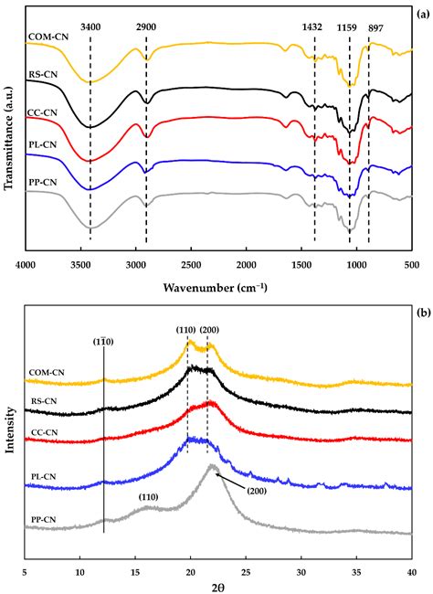 Polymers Free Full Text Isolation And Characterization Cellulose