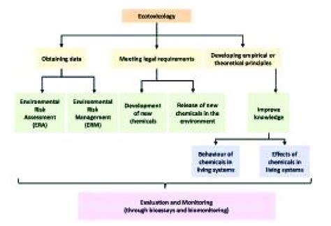 Main goals and objectives of ecotoxicology. | Download Scientific Diagram