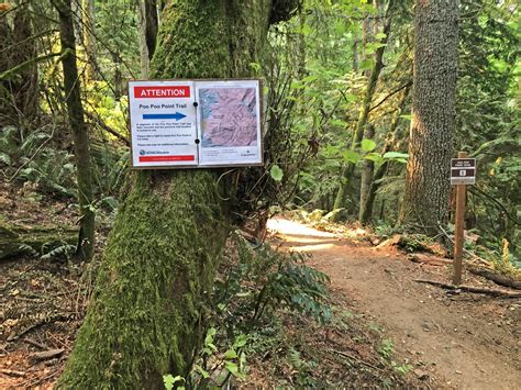 Poo Poo Point Trail Improvements — Issaquah Alps Trails Club