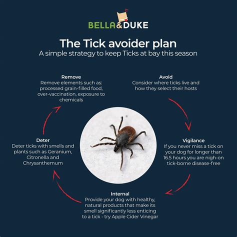 Ticks on Dogs | 5 Steps to Avoid Problems | Bella & Duke