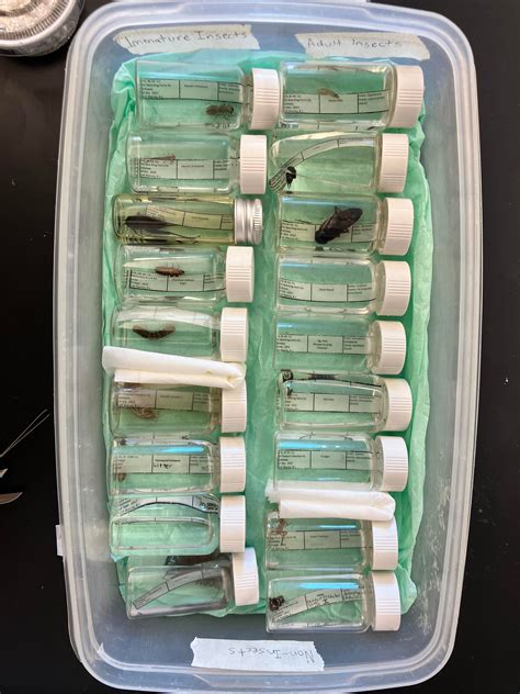 TAMU Entomology students when they see their friends: : r/aggies