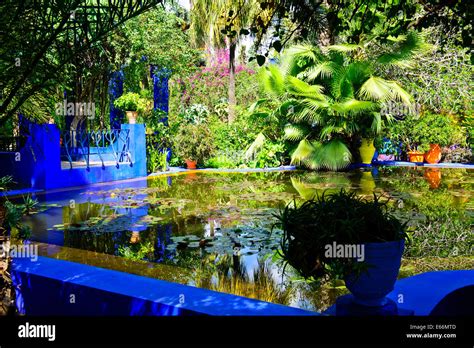 Cactus Garden Built By Jacques Majorelle Later Bought By Yves