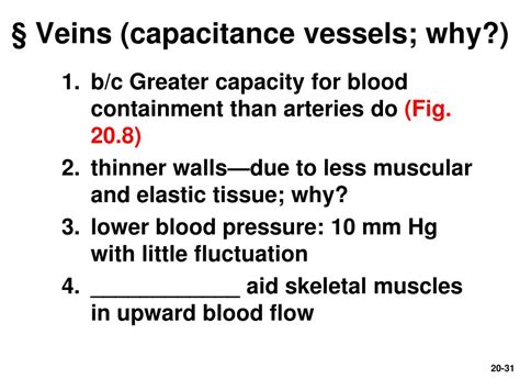 Ppt Chapter 20 Blood Vessels And Circulation Powerpoint Presentation