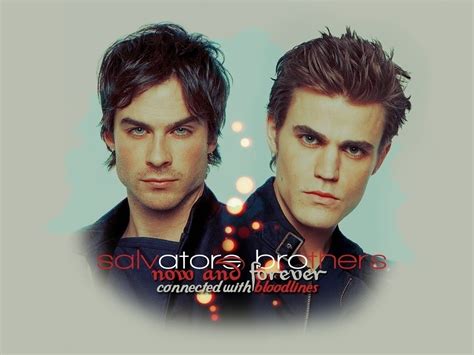 Damon&Stefan - Damon and Stefan Salvatore Wallpaper (20832201) - Fanpop