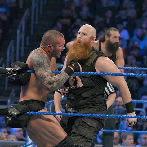 Randy Orton Luke Harper Vs Erick Rowan Bray Wyatt Wrestling Wwe