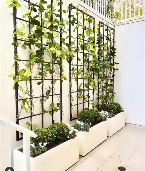 Large Multi Sizes, Classic Metal Garden Outdoor Trellis, Wall Mounted ...