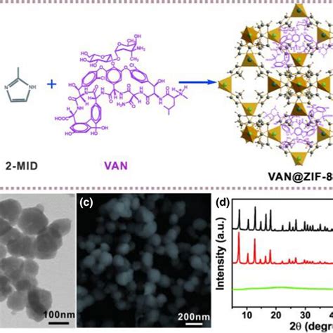 Ftir Spectra Of A Zif Nanoparticles B Van And C Van Zif