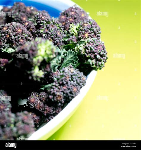 Purple Sprouting Broccoli Stock Photo - Alamy