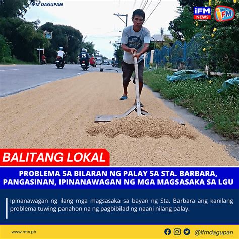 Problema Sa Bilaran Ng Palay Sa Sta Barbara Pangasinan Ipinanawagan