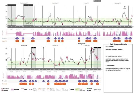 Medtronic Inpen Insights Reports On Carelink Software For Healthcare