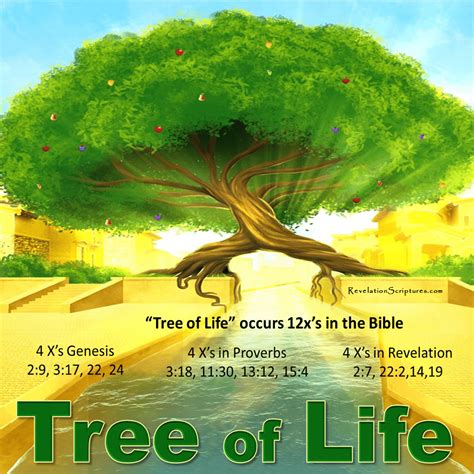 List Of All Tree Of Life Scriptures In The Bible