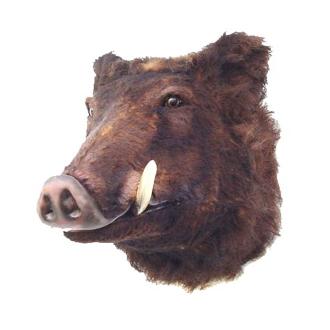 Boar Head Mount Faux