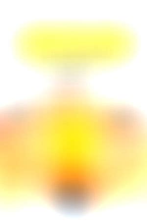 Bikini Spring Break The Movie Database TMDB