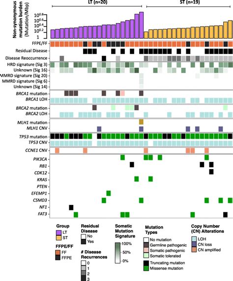 Landscape Of Genomic Alterations In Exceptional Long And Short Term Download Scientific