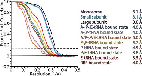 Figures And Data In Structural Basis Of Mitochondrial Translation ELife