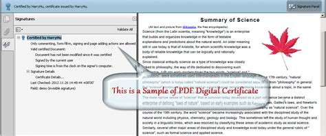 Digital Certificate Pdf