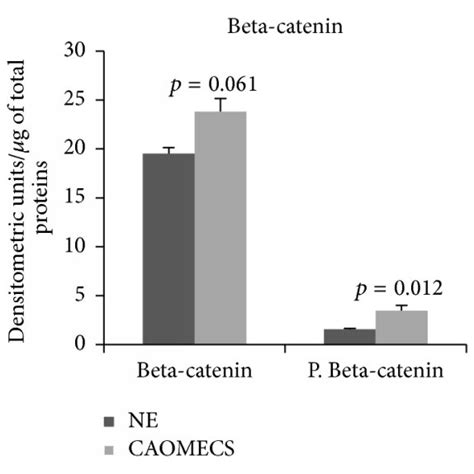 Western Blot Analysis Of E Cadherin And N Cadherin A Beta Catenin Download Scientific