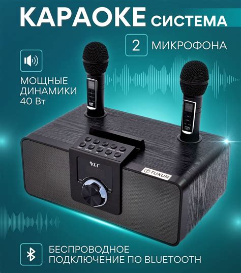 Караоке система с двумя микрофонами Tuxun KEI чёрная - купить с ...