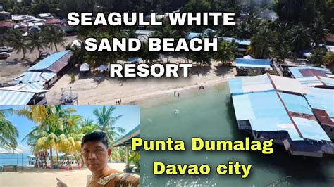 SEAGULL WHITE SAND BEACH RESORT IN PUNTA DUMALAG DAVAO CITY YouTube