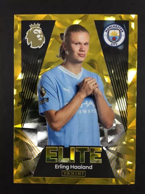 Erling Haaland Sticker Panini Premier League 2023 2024 24 427