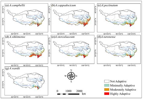 Maple tree types identification - issezoom