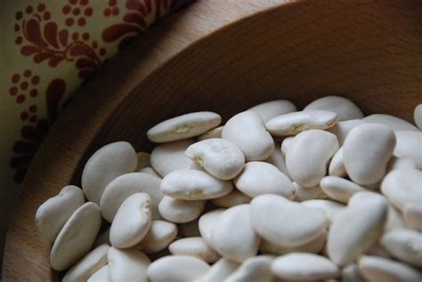 Pati Jinich » Fava Bean Soup: Time to go Mainstream!