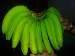 Cavendish Bananas In Indore Get Latest Price Mandi Rates From