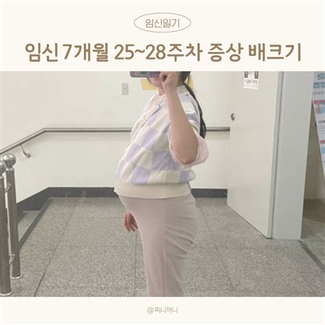 임신 중기 7개월 증상 25주 26주 27주 28주 배크기 배뭉침 환도선다 태동 네이버 블로그