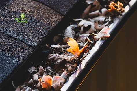 How To Prepare And Maintain Your Gutters For Autumn Jims Mowing