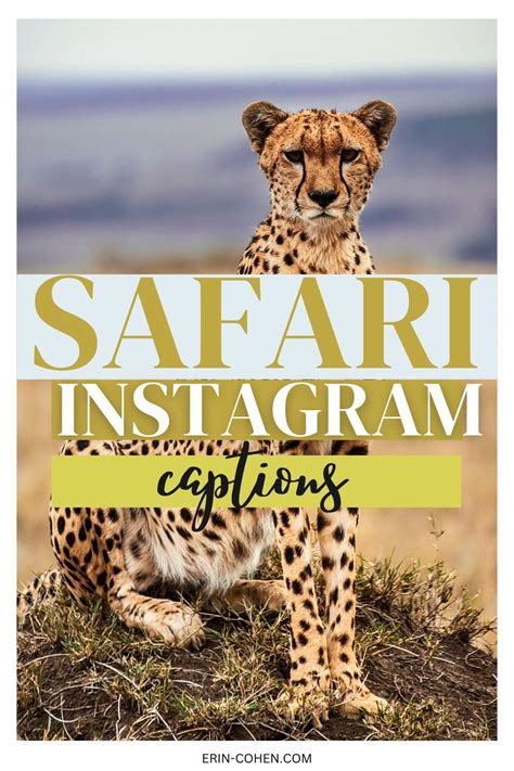 Safari Captions Roar Into Adventure For Your Instagram Posts Artofit