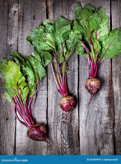 Raw Beetroot Stock Image Image Of Kitchen Ingredient 56409993