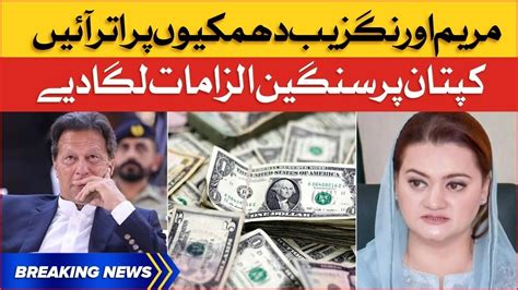 Maryam Aurangzeb Blames Imran Khan Pti Vs Pmln Govt Breaking News