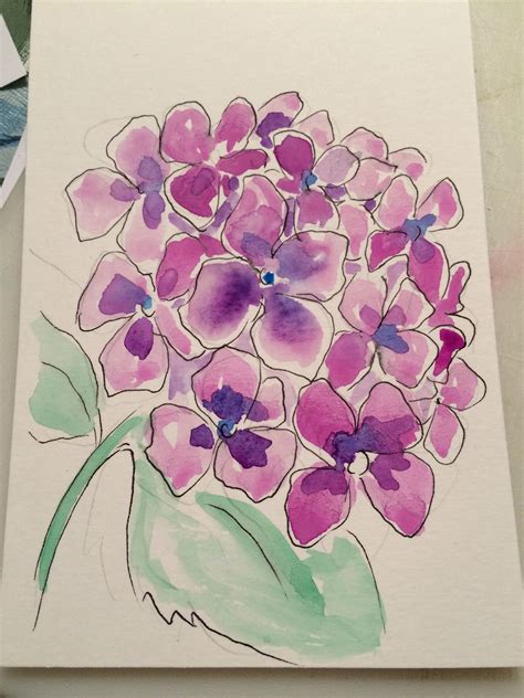 Hydrangea Hydrangea Watercolor Painting Pen And Wash Watercolor