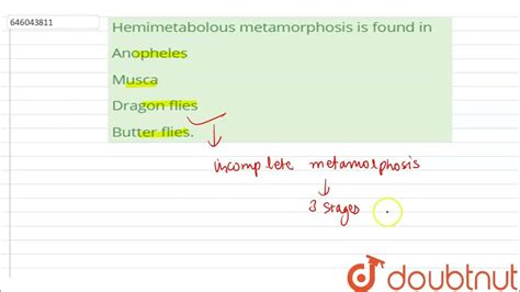 Hemimetabolous metamorphosis is found in | 12 | PHYLUM - ARTHROPODA | BIOLOGY | DINESH PUBLICAT ...