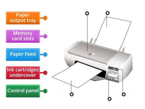 Computer mouse features - Labelled diagram